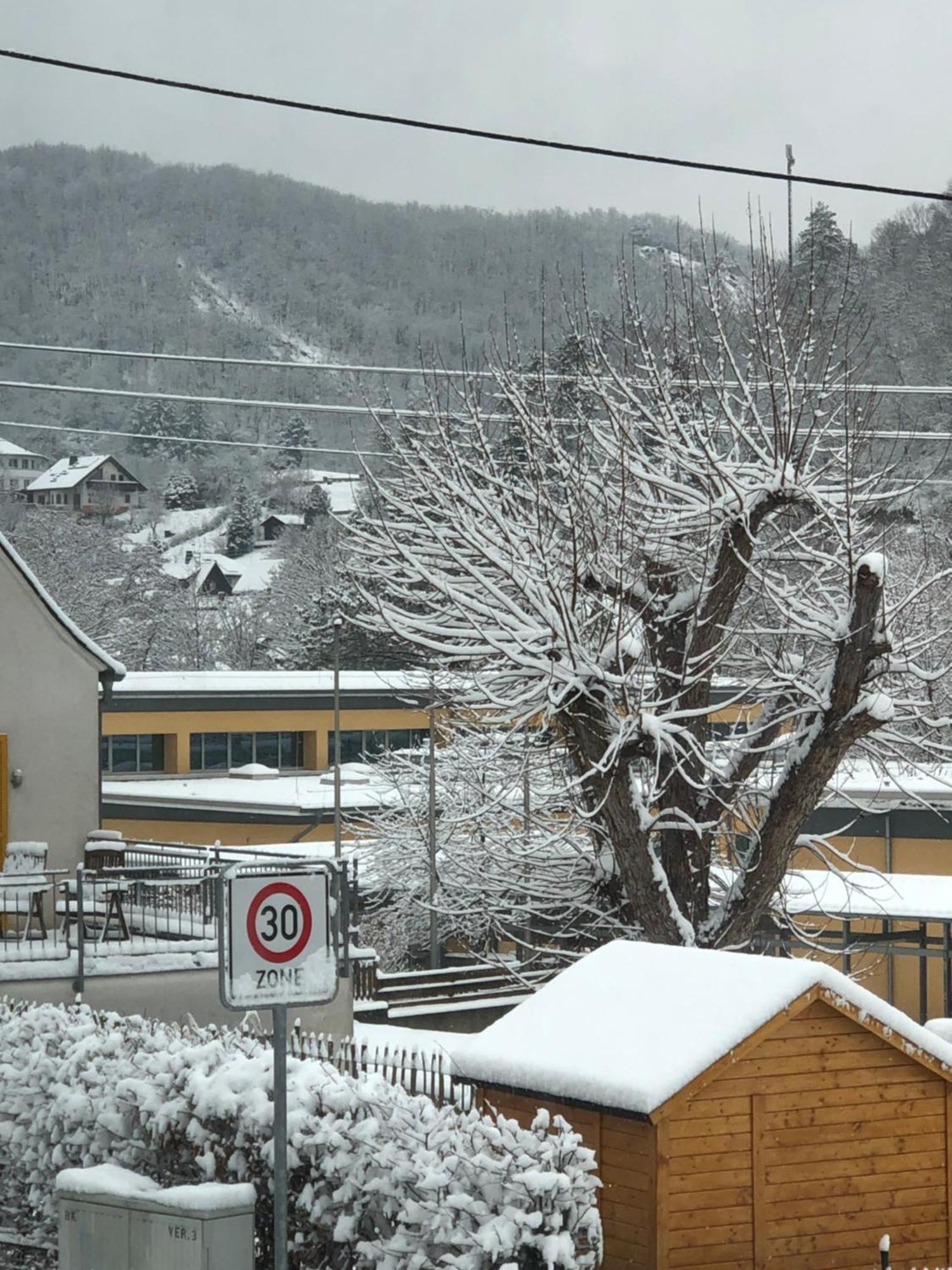 Rheinliebe Bistro Und Pension ロルヒ・アム・ライン エクステリア 写真